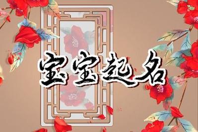 龙女宝宝取名带晨字的有哪_