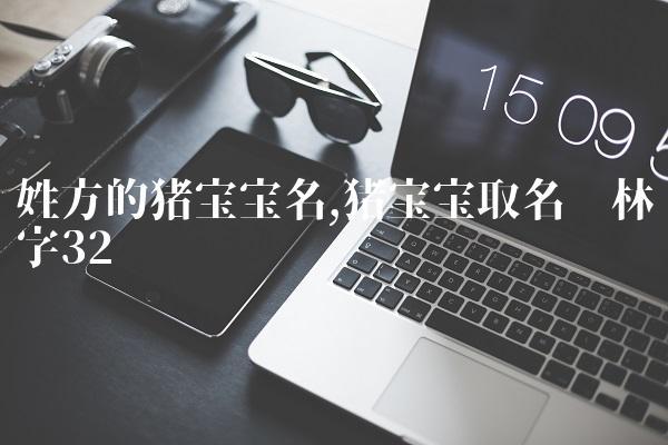 19年猪宝宝取名宜_19年猪宝宝取名宜用字