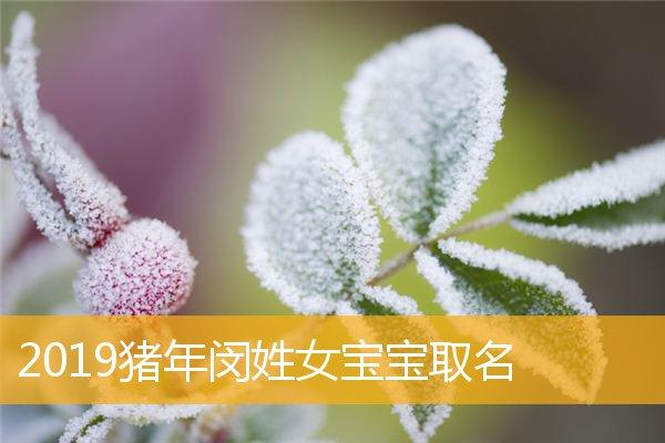 属猪出生的女宝宝取名大全集_属猪出生的女宝宝取名大全集名字