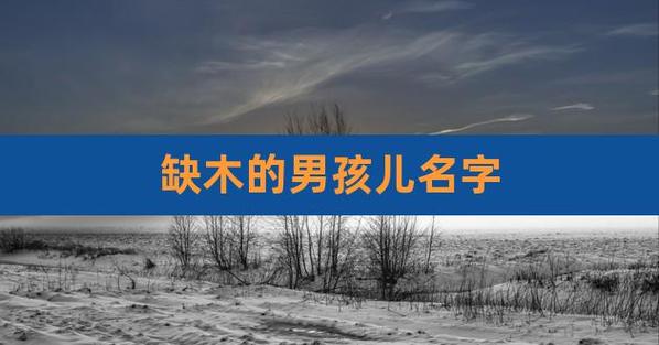 男宝宝取名带金带木的男孩名字大全_男宝宝取名带金带木的男孩名字大全