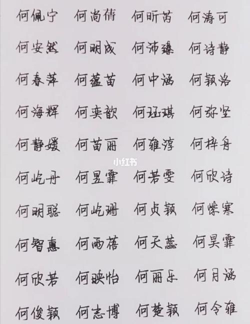 姓何宝宝取名范本_姓何宝宝取名范本男孩