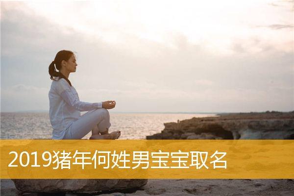 猪年6月间男宝宝取名_猪年6月间男宝宝取名字