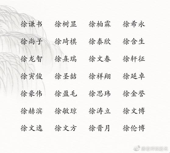 徐宝宝取名两字_徐宝宝取名两字大全