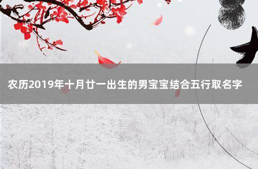 2019年十一月出生的宝宝取名_2019年十一月出生的宝宝取名字