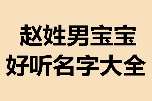 2019男宝宝取名大全赵_