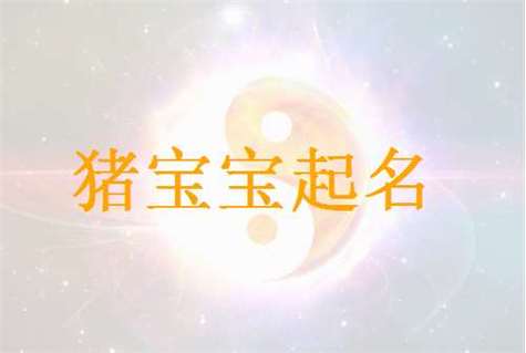 2019年属猪宝宝取名宜用字_2019年属猪宝宝取名宜用字有哪些