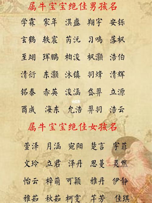 薛宝宝取名字_薛宝宝取名字大全