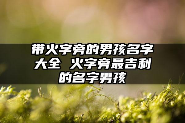 火旁宝宝取名宝典_火字旁宝宝名字大全