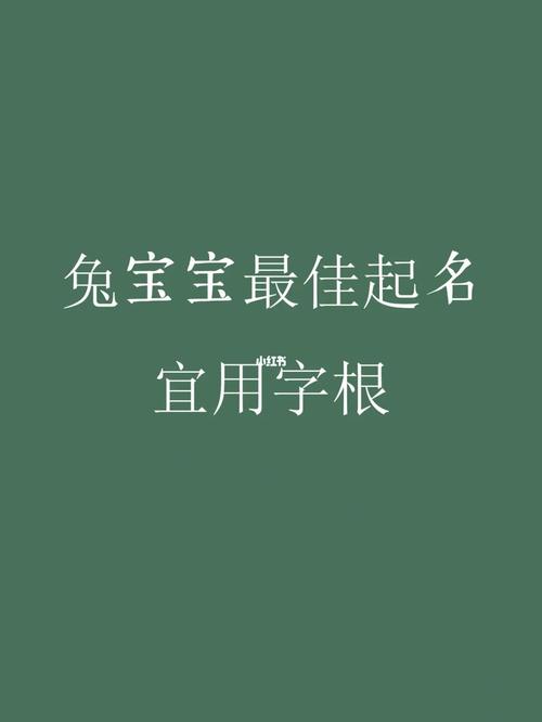 2012年兔宝宝取名_2012年兔宝宝几月出生最好