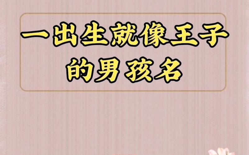 王子开头男宝宝取名_王子开头男宝宝取名字