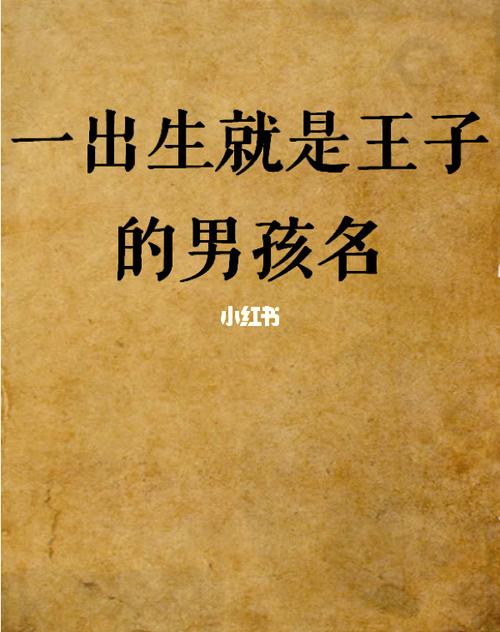 王子开头男宝宝取名_王子开头男宝宝取名字