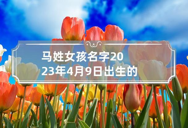 马年姓施宝宝取名_马年姓施宝宝取名大全