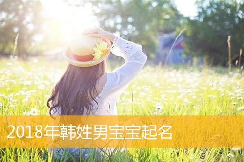 韩姓马宝宝取名_韩姓马宝宝取名大全