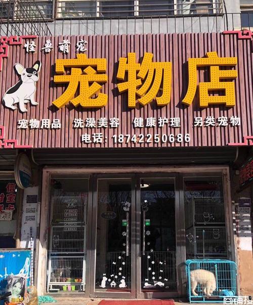 关于宠物商店的店名_