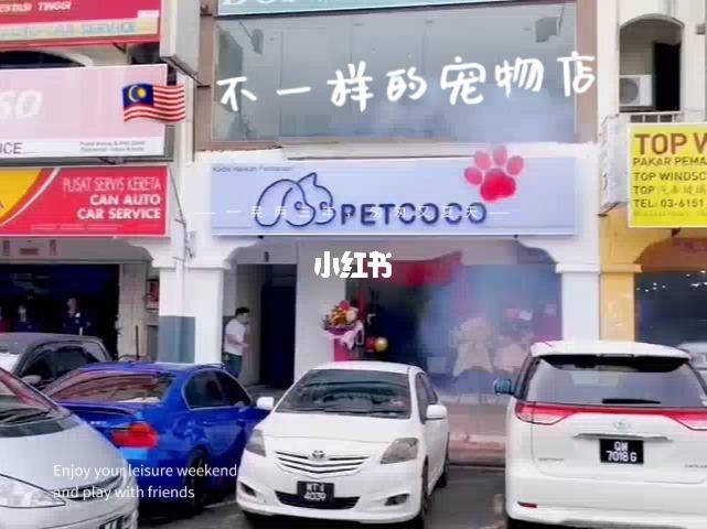 宠物的店名英文_宠物的店名英文怎么写