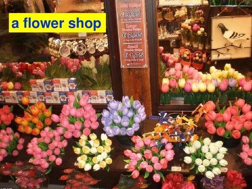 flower的店名_flower名字