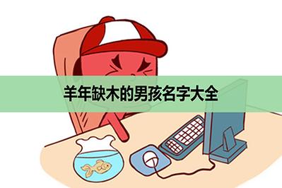 属羊的男宝宝取名_属羊的男宝宝取名大全