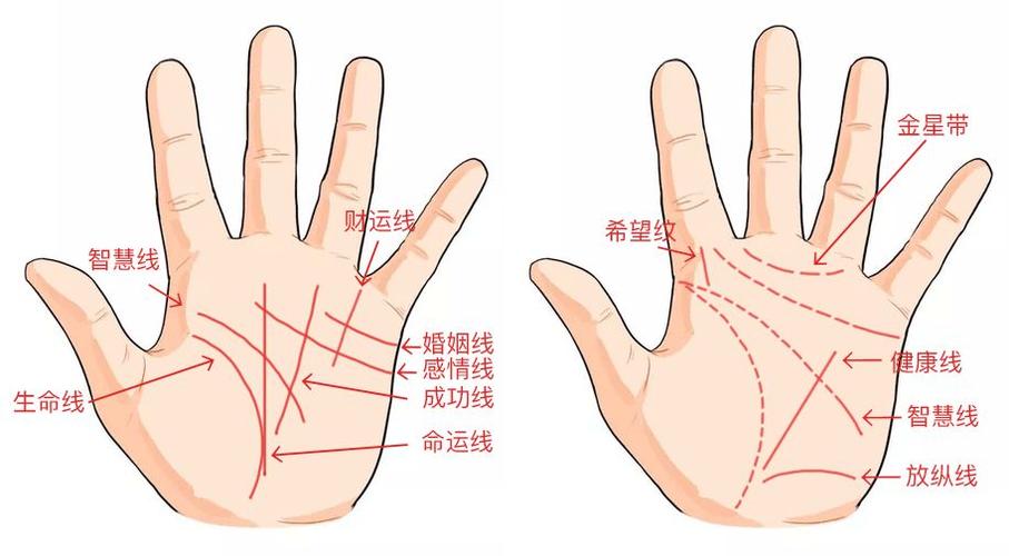 准到吓人的手相_准到吓人的手相秘籍