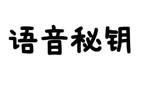 语音娱乐公司起名字大全（语音娱乐厅的名字大全）