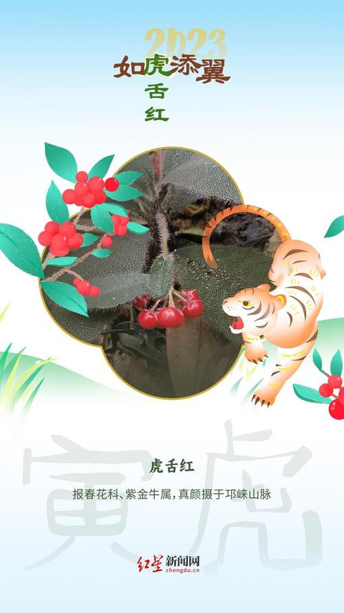 虎宝宝用花起名字（有虎字的花名）