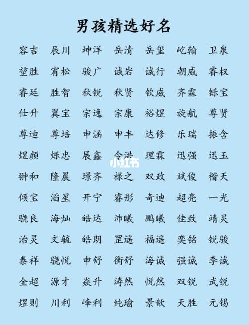 起名字大全男孩刘建嘉（起名字大全男孩刘建嘉好吗）