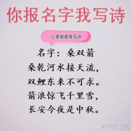 作诗起名的小说名字大全（作诗起名的小说名字大全集）