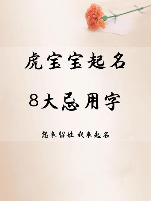 虎宝宝起名字女（虎宝宝取名宜用字女孩）