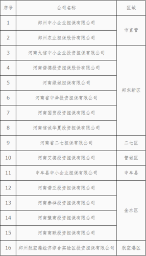 郑州担保公司起名字怎么起（郑州个人贷款担保公司）