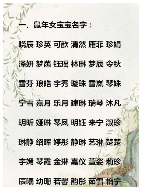 鼠年男宝宝姓贾起名字大全（姓贾鼠年女宝宝名字）