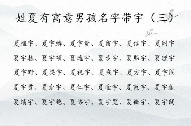 夏宝宝起名字（夏宝宝起名字大全）