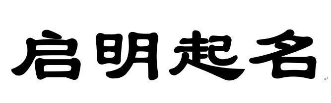 启明公司起名字大全（启明有限公司）