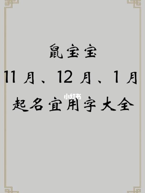 怎么给鼠宝宝起名字（怎么给鼠宝宝起名字男孩）