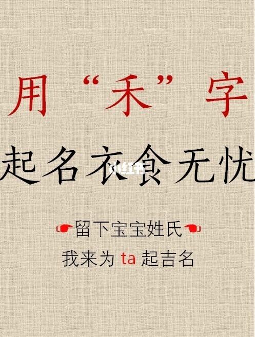 带禾的男宝宝起名用字（男孩带禾字洋气点的名字）