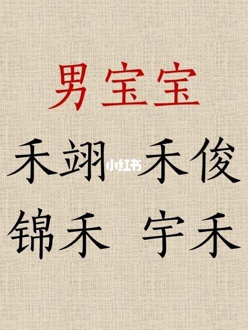 带禾的男宝宝起名用字（男孩带禾字洋气点的名字）