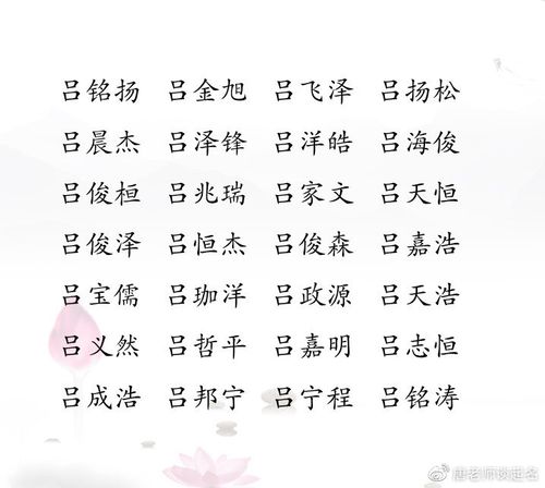 吕姓男孩宝宝起名字（吕姓男孩宝宝起名字大全）