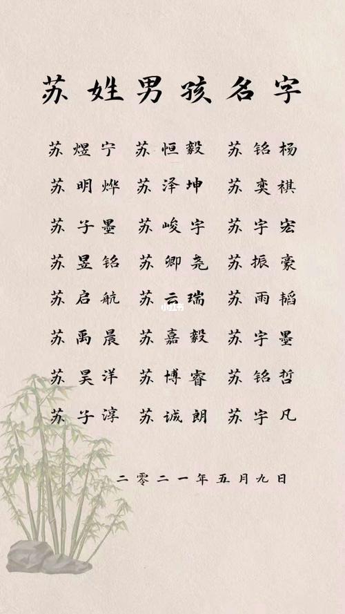 苏姓起名大全男孩名字大全（苏姓起名大全男孩名字大全四个字）