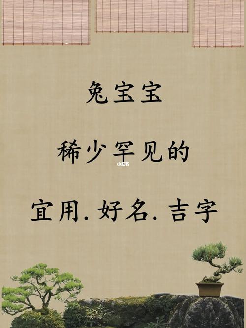 水兔女宝宝起名字（水兔女宝宝起名字）