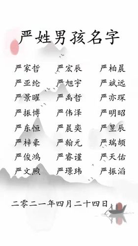 给宝宝起名字姓严（严宝宝的取名字）