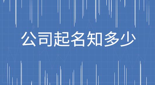 政府平台公司起名字大全（政府平台公司有前途吗）