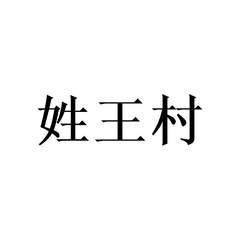 姓王的摄影公司起名字洋气（摄影行业起名）