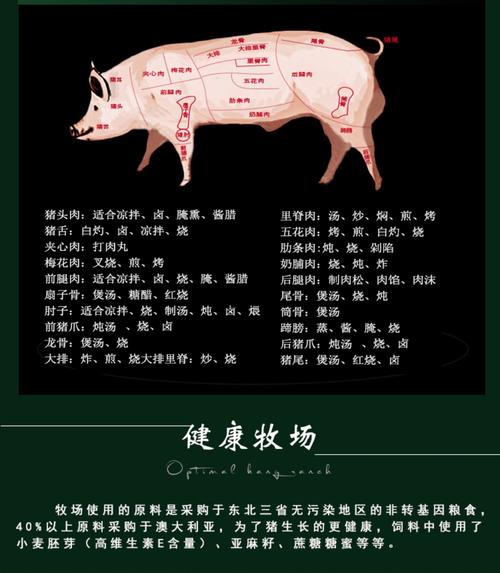 生鲜猪肉配送公司起名字（生鲜猪肉配送公司起名字怎么起）