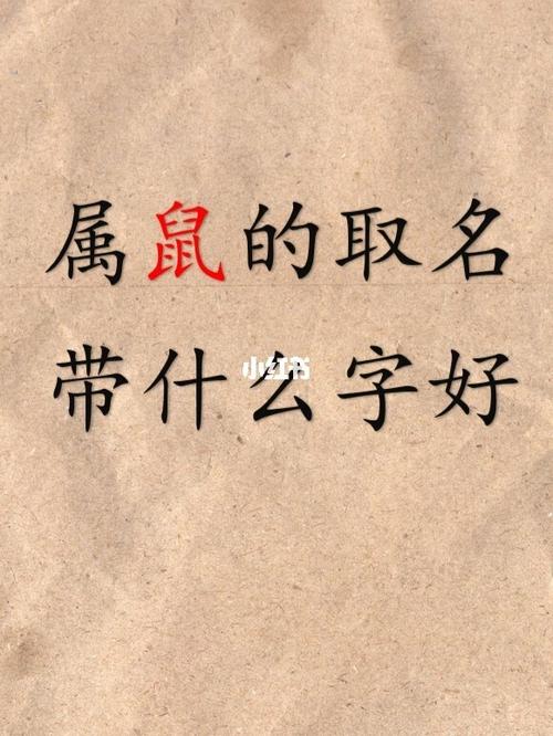 鼠宝宝怎么起名字呢（鼠宝宝怎么起名字好）