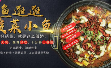 买鱼店铺起名字大全女士（买鱼的店名字大全）