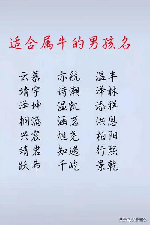 牛年宝宝男孩起名字（牛年宝宝男孩起名字怎么起）