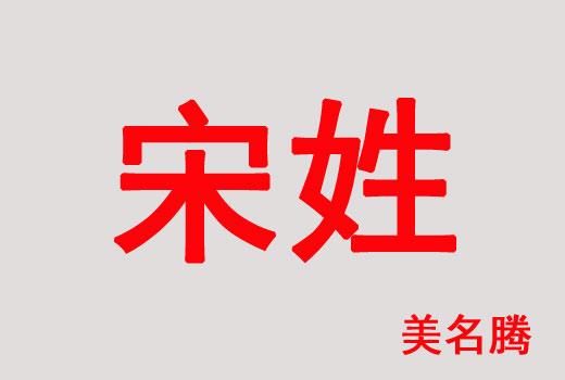 虎宝宝宋姓起名字（宋姓宝宝取名）