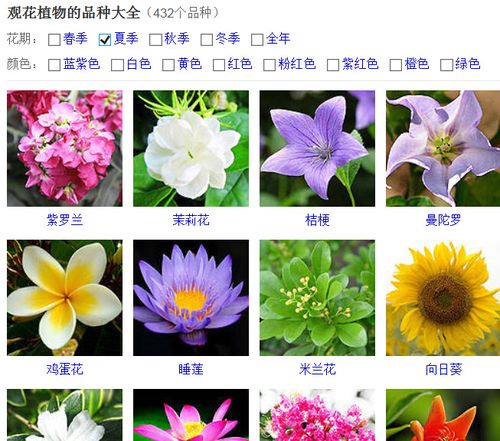 花的种类大全及名字（花的种类大全及名字2个字）