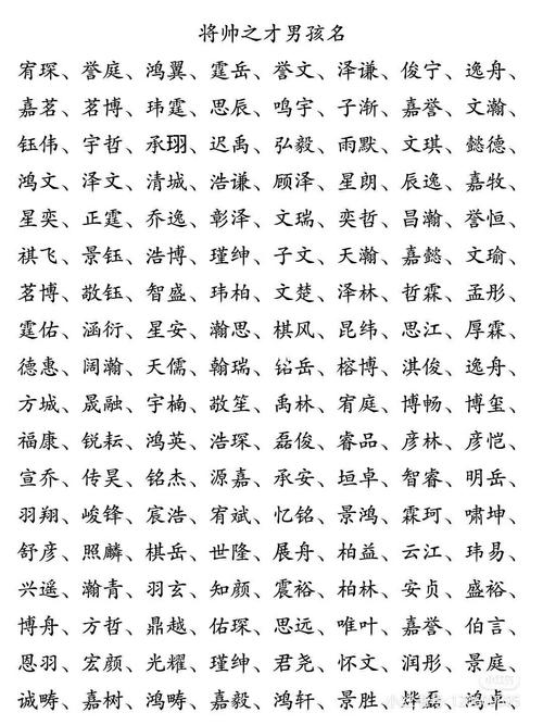 施男宝宝起名字大全（施男宝宝起名字大全四个字）