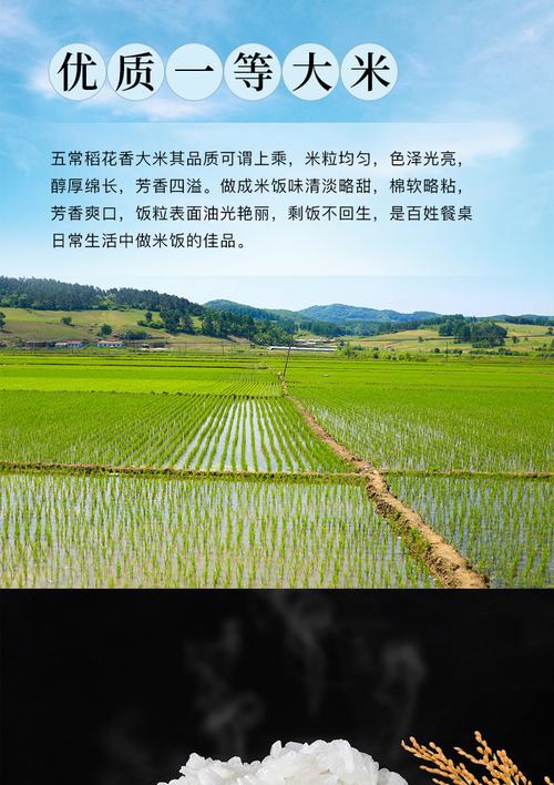 卖大米的公司起名字（卖大米的公司起名字怎么起）