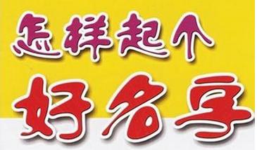 鸡宝宝男起名字（鸡宝宝男孩取名字）