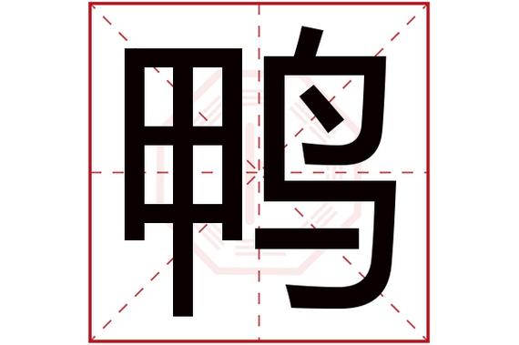 鸭子起名创意名字大全（鸭子的名字怎么取）